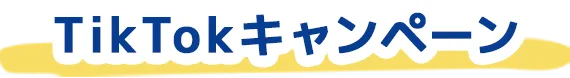 TikTokキャンペーン